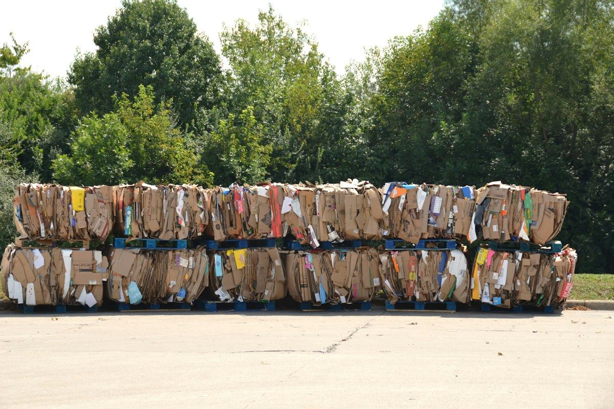 Balles de carton compressé prêtes à être revendues